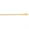 Hollow 14K Yellow Gold Rolo Chain For Men & Women 2.3mm Wide
